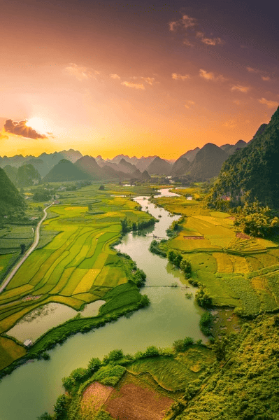 Vietnam